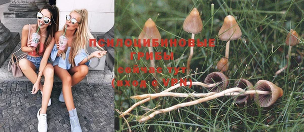 а пвп мука Касимов